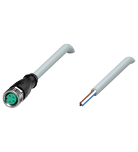 V31-GM-5M-PUR
