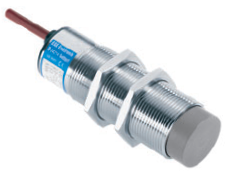 [P31121] IGMT 015 WS