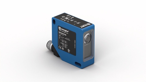 [WP02PAT80] WP02PAT80