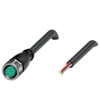 [456505] V19-G-BK10M-PUR-U